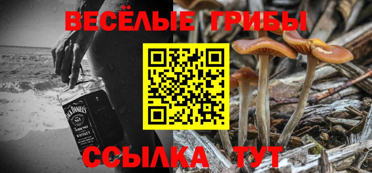 Усть-Илимск  Галлюциногенные грибы ЛСД  Вход с VPN  Галлюциногенные грибы GOLDEN TEACHER 